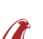 Falcon logo